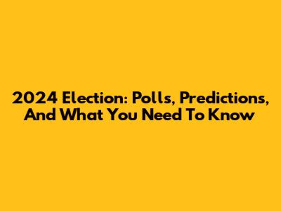 2024 Election: Polls, Predictions, And What You Need To Know