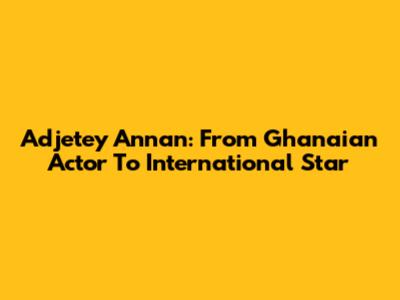 Adjetey Annan: From Ghanaian Actor To International Star