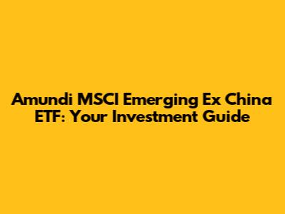 Amundi MSCI Emerging Ex China ETF: Your Investment Guide