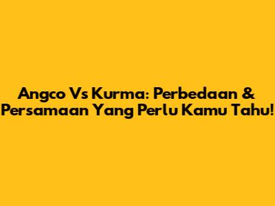 Angco Vs Kurma: Perbedaan & Persamaan Yang Perlu Kamu Tahu!