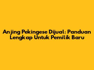 Anjing Pekingese Dijual: Panduan Lengkap Untuk Pemilik Baru
