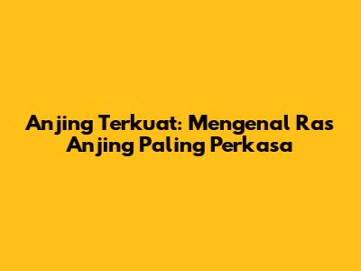 Anjing Terkuat: Mengenal Ras Anjing Paling Perkasa