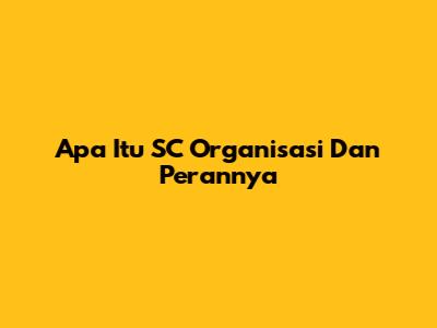 Apa Itu SC Organisasi Dan Perannya