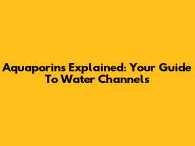 Aquaporins Explained: Your Guide To Water Channels