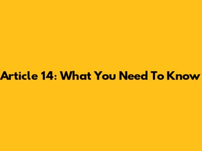 Article 14: What You Need To Know