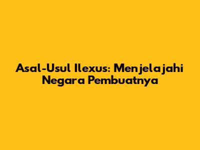 Asal-Usul Ilexus: Menjelajahi Negara Pembuatnya