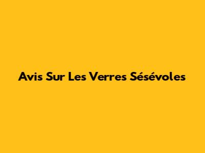 Avis Sur Les Verres Sésévoles