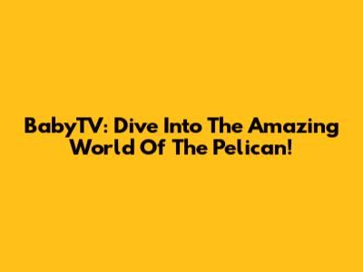 BabyTV: Dive Into The Amazing World Of The Pelican!