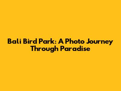 Bali Bird Park: A Photo Journey Through Paradise