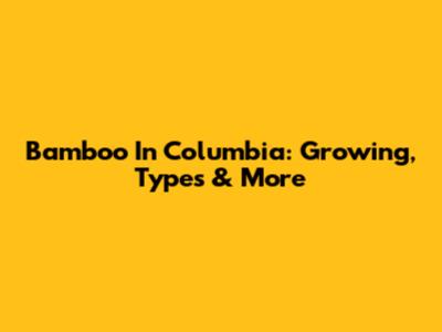 Bamboo In Columbia: Growing, Types & More