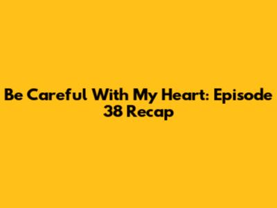 Be Careful With My Heart: Episode 38 Recap