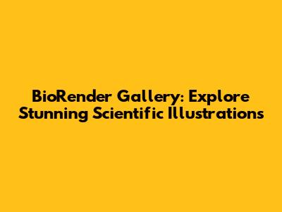 BioRender Gallery: Explore Stunning Scientific Illustrations