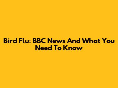 Bird Flu: BBC News And What You Need To Know