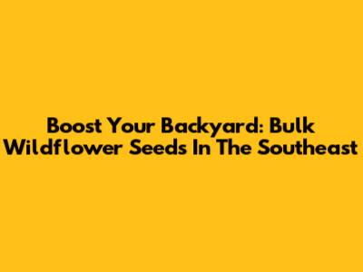 Boost Your Backyard: Bulk Wildflower Seeds In The Southeast