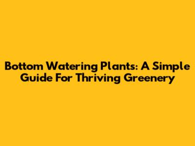 Bottom Watering Plants: A Simple Guide For Thriving Greenery