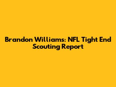 Brandon Williams: NFL Tight End Scouting Report