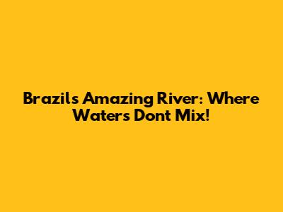 Brazil's Amazing River: Where Waters Don't Mix!