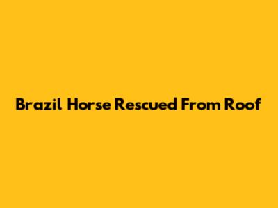 Brazil Horse Rescued From Roof