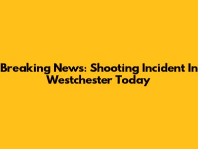 Breaking News: Shooting Incident In Westchester Today