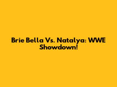 Brie Bella Vs. Natalya: WWE Showdown!
