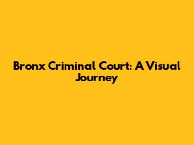 Bronx Criminal Court: A Visual Journey