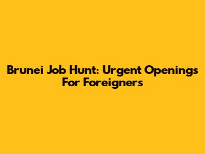 Brunei Job Hunt: Urgent Openings For Foreigners