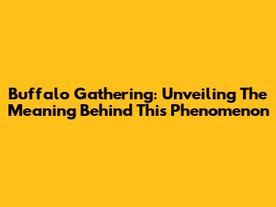 Buffalo Gathering: Unveiling The Meaning Behind This Phenomenon