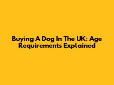 Buying A Dog In The UK: Age Requirements Explained