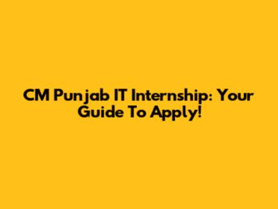CM Punjab IT Internship: Your Guide To Apply!