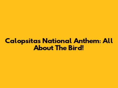 Calopsita's National Anthem: All About The Bird!