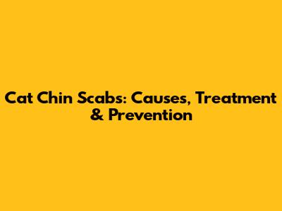 Cat Chin Scabs: Causes, Treatment & Prevention