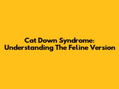 Cat Down Syndrome: Understanding The Feline Version