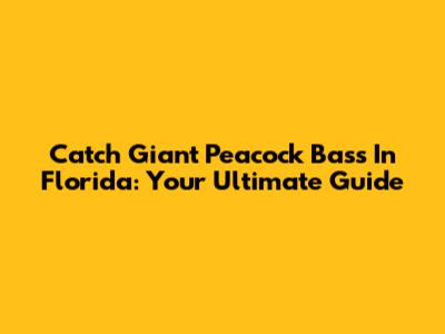 Catch Giant Peacock Bass In Florida: Your Ultimate Guide