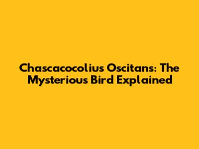 Chascacocolius Oscitans: The Mysterious Bird Explained