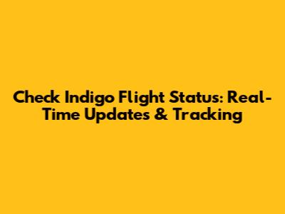 Check Indigo Flight Status: Real-Time Updates & Tracking