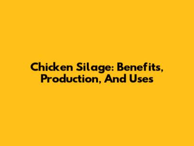 Chicken Silage: Benefits, Production, And Uses
