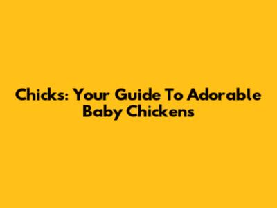 Chicks: Your Guide To Adorable Baby Chickens