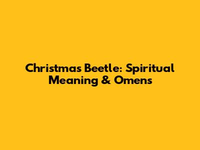 Christmas Beetle: Spiritual Meaning & Omens