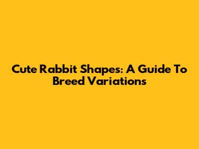 Cute Rabbit Shapes: A Guide To Breed Variations