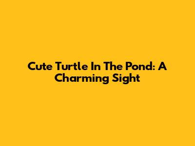Cute Turtle In The Pond: A Charming Sight
