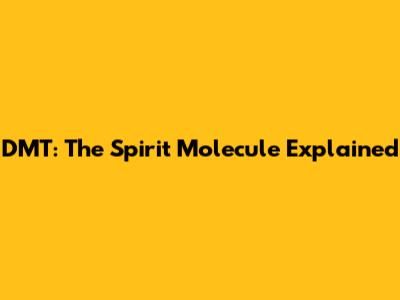 DMT: The Spirit Molecule Explained