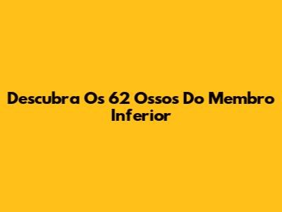 Descubra Os 62 Ossos Do Membro Inferior