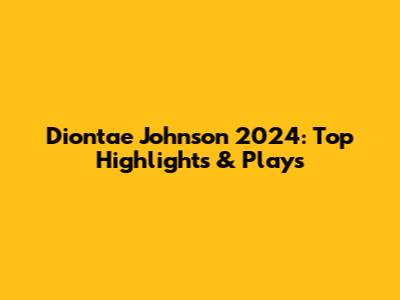 Diontae Johnson 2024: Top Highlights & Plays