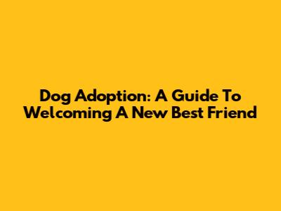 Dog Adoption: A Guide To Welcoming A New Best Friend