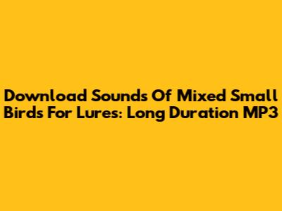 Download Sounds Of Mixed Small Birds For Lures: Long Duration MP3