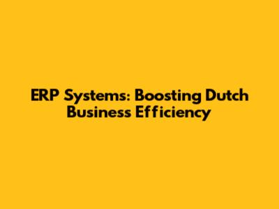 ERP Systems: Boosting Dutch Business Efficiency