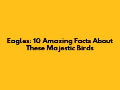 Eagles: 10 Amazing Facts About These Majestic Birds