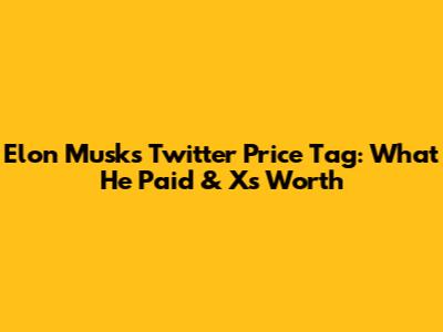 Elon Musk's Twitter Price Tag: What He Paid & X's Worth