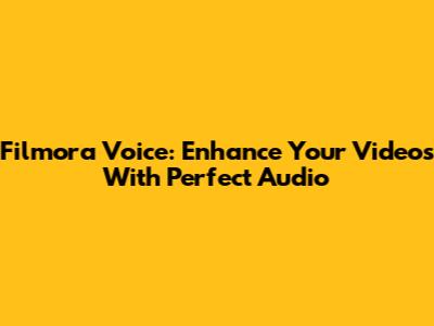 Filmora Voice: Enhance Your Videos With Perfect Audio
