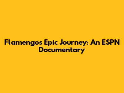 Flamengo's Epic Journey: An ESPN Documentary